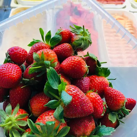 Sleep & Coffee Lägenhet