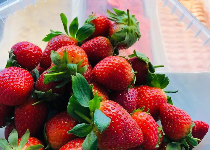 Sleep & Coffee Lägenhet